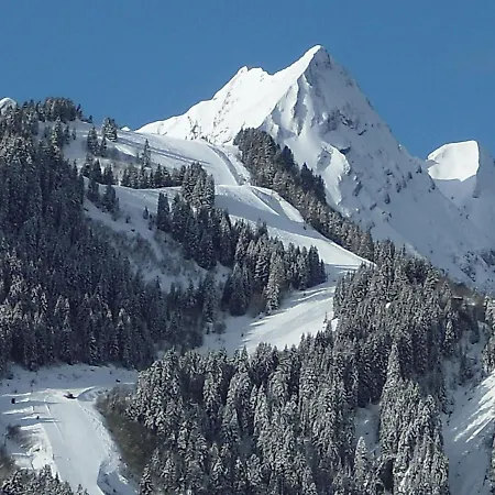 Luxurious Chalet With Private Terrace In